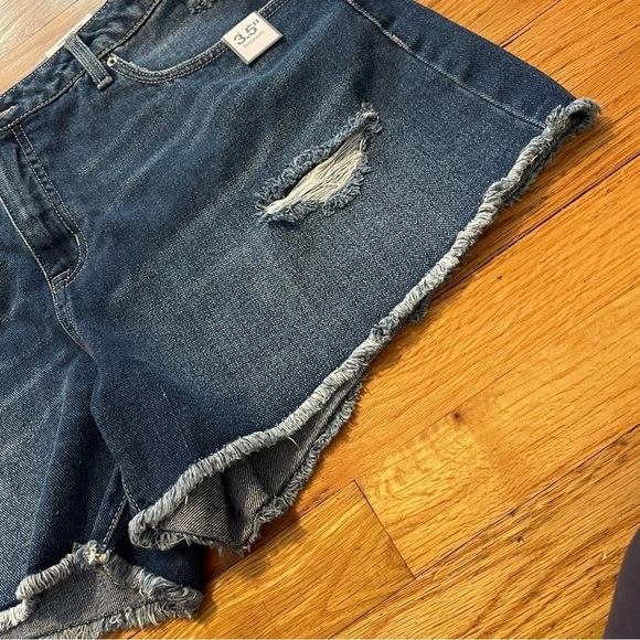 Time and Tru | High Rise Denim Shorts | size 14 - Picture 3 of 7